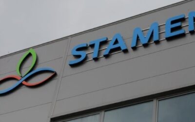 Stamen (Poslovni objekat)